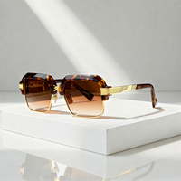 Tortoise Amber