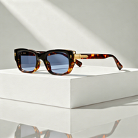Sahara Tortoise