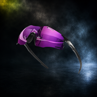 Violet Velocity