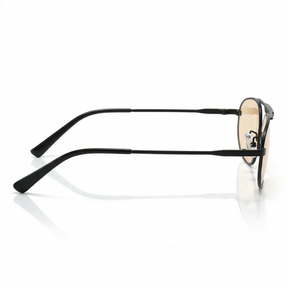 Émile Noir Sunglasses