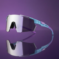 Purple / Blue